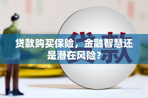 锦州贷款购买保险，金融智慧还是潜在风险？