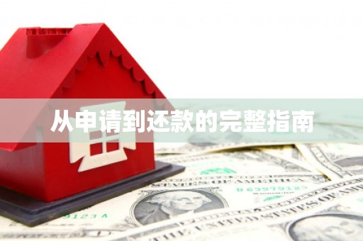 丰顺从申请到还款的完整指南