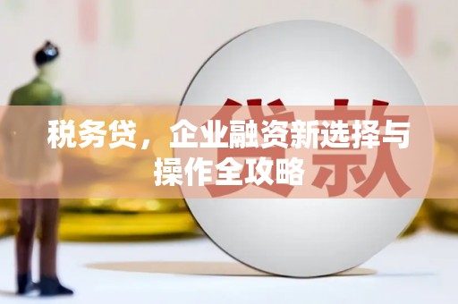 冕宁税务贷，企业融资新选择与操作全攻略