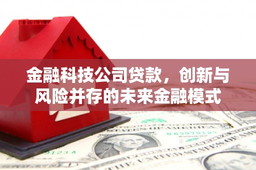 市中区金融科技公司贷款，创新与风险并存的未来金融模式