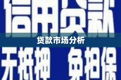 紫云贷款市场分析