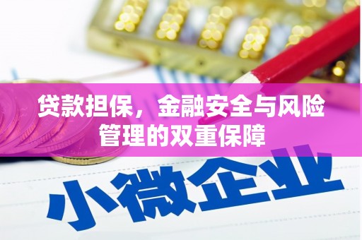 崇明贷款担保，金融安全与风险管理的双重保障