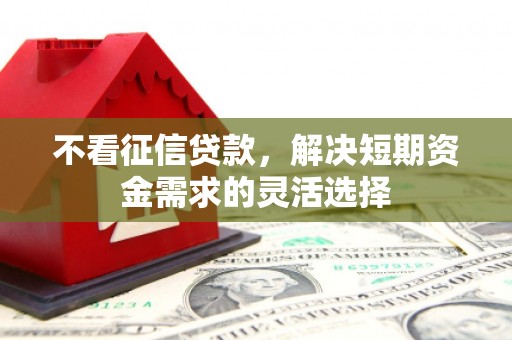 张家港不看征信贷款，解决短期资金需求的灵活选择