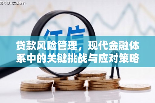 万载贷款风险管理，现代金融体系中的关键挑战与应对策略