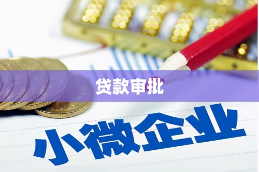 罗东贷款审批