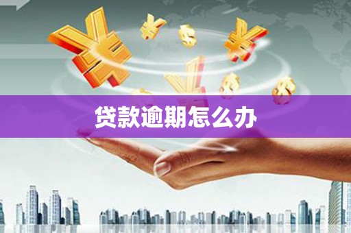 开平贷款逾期怎么办