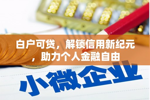 嘉兴白户可贷，解锁信用新纪元，助力个人金融自由