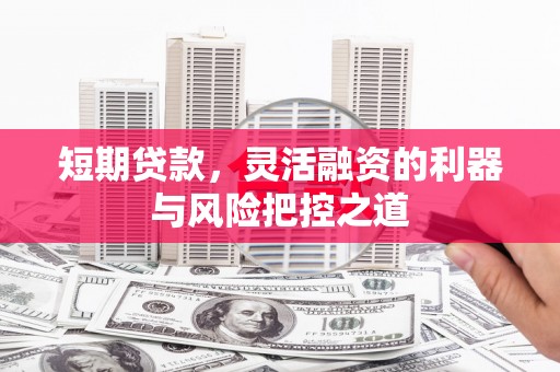 东乡族短期贷款，灵活融资的利器与风险把控之道