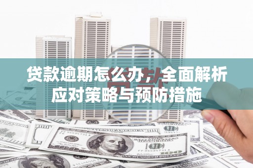 丽水贷款逾期怎么办，全面解析应对策略与预防措施