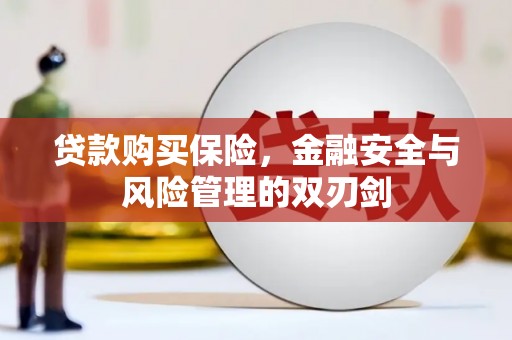 圣方济各堂区贷款购买保险，金融安全与风险管理的双刃剑