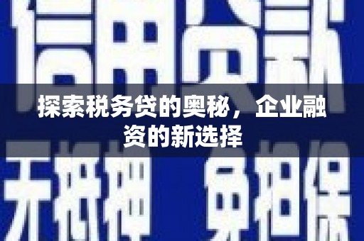 阜康探索税务贷的奥秘，企业融资的新选择