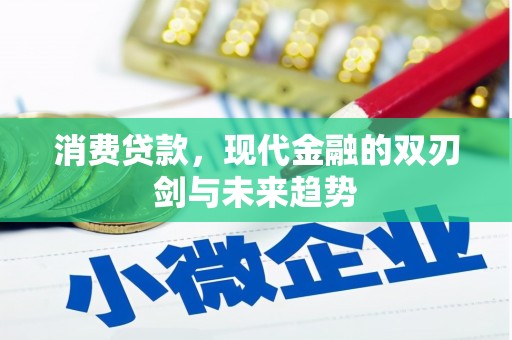 庄浪消费贷款，现代金融的双刃剑与未来趋势