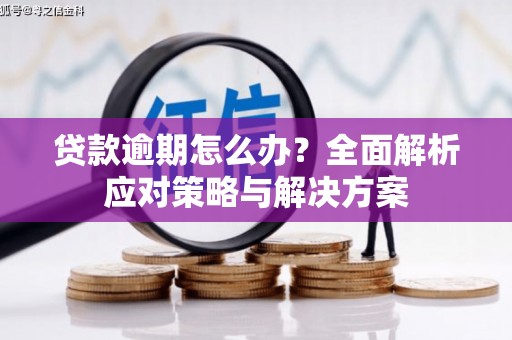 狮潭贷款逾期怎么办？全面解析应对策略与解决方案