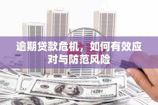 弥陀逾期贷款危机，如何有效应对与防范风险