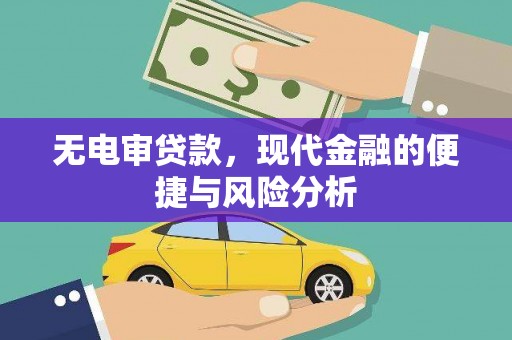 巍山无电审贷款，现代金融的便捷与风险分析