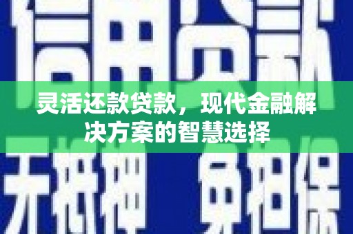 昭阳灵活还款贷款，现代金融解决方案的智慧选择