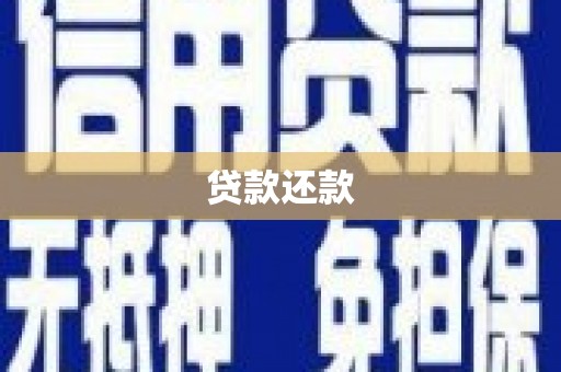 公安贷款还款