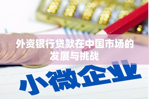 北仑外资银行贷款在中国市场的发展与挑战