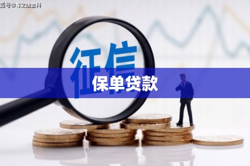 沈丘保单贷款