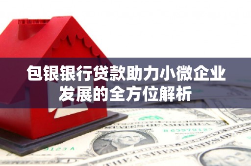 弥陀包银银行贷款助力小微企业发展的全方位解析