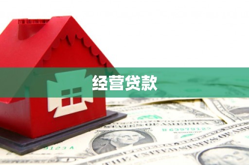 图们经营贷款