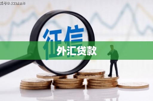 福海外汇贷款
