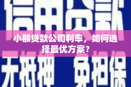 埌东小额贷款公司利率，如何选择最优方案？