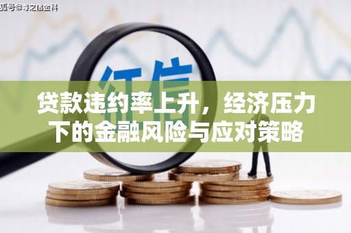 扶绥贷款违约率上升，经济压力下的金融风险与应对策略