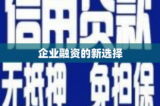 巴楚企业融资的新选择