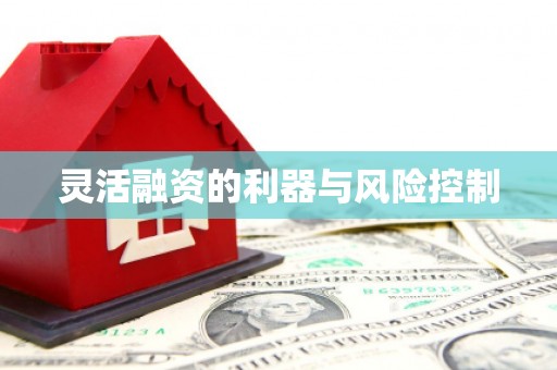 里港灵活融资的利器与风险控制