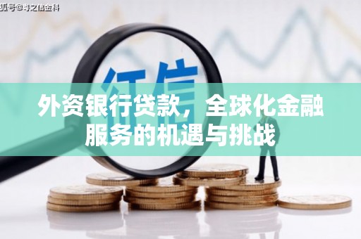 德保外资银行贷款，全球化金融服务的机遇与挑战