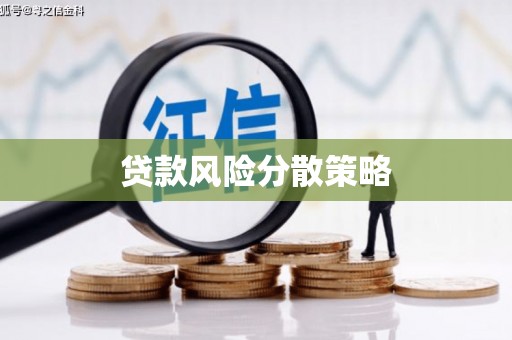 庐阳贷款风险分散策略