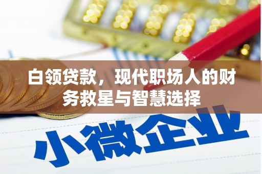 盐田白领贷款，现代职场人的财务救星与智慧选择