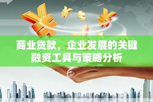天镇商业贷款，企业发展的关键融资工具与策略分析