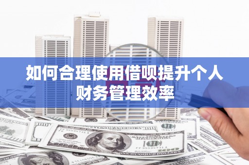 樊城如何合理使用借呗提升个人财务管理效率