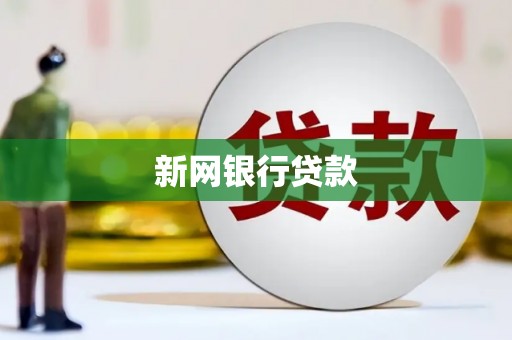 东至新网银行贷款