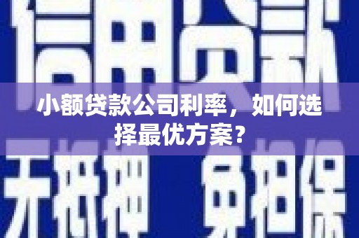 崁顶小额贷款公司利率，如何选择最优方案？