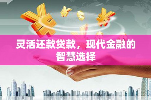 城区灵活还款贷款，现代金融的智慧选择