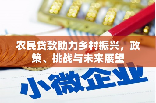修文农民贷款助力乡村振兴，政策、挑战与未来展望