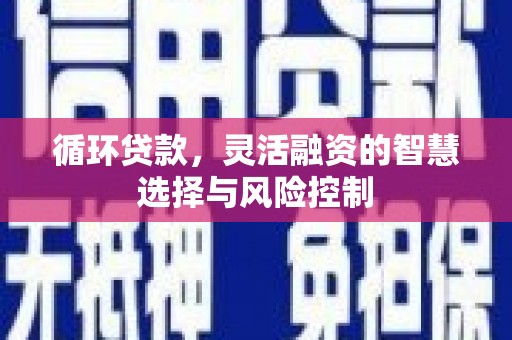 温州循环贷款，灵活融资的智慧选择与风险控制