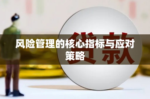 洮南风险管理的核心指标与应对策略