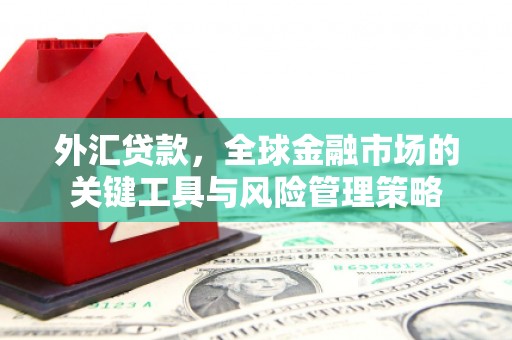 海端外汇贷款，全球金融市场的关键工具与风险管理策略