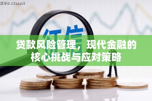 达仁贷款风险管理，现代金融的核心挑战与应对策略