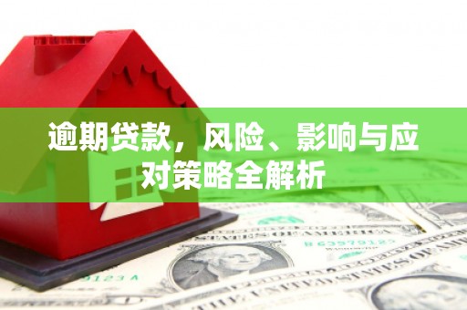金峰逾期贷款，风险、影响与应对策略全解析