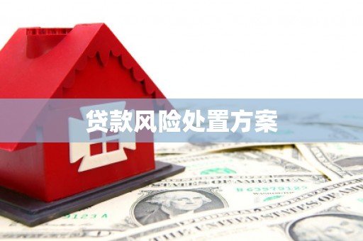 伊金霍洛旗贷款风险处置方案