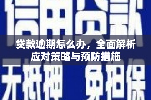 春日贷款逾期怎么办，全面解析应对策略与预防措施
