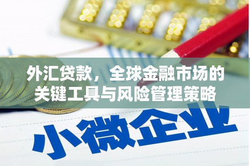 洞头外汇贷款，全球金融市场的关键工具与风险管理策略