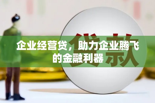 卑南企业经营贷，助力企业腾飞的金融利器