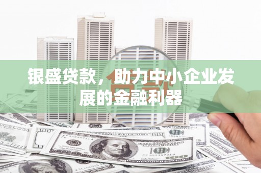 仙游银盛贷款，助力中小企业发展的金融利器