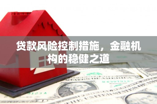 云林贷款风险控制措施，金融机构的稳健之道